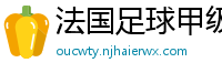 法国足球甲级联赛